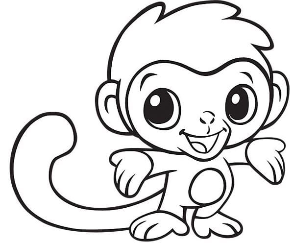 Cách vẽ Con Khỉ  Dạy Vẽ