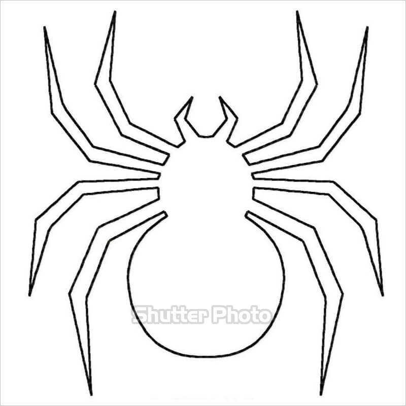 Cập nhật 62 về hình vẽ nhện hay nhất  coedocomvn